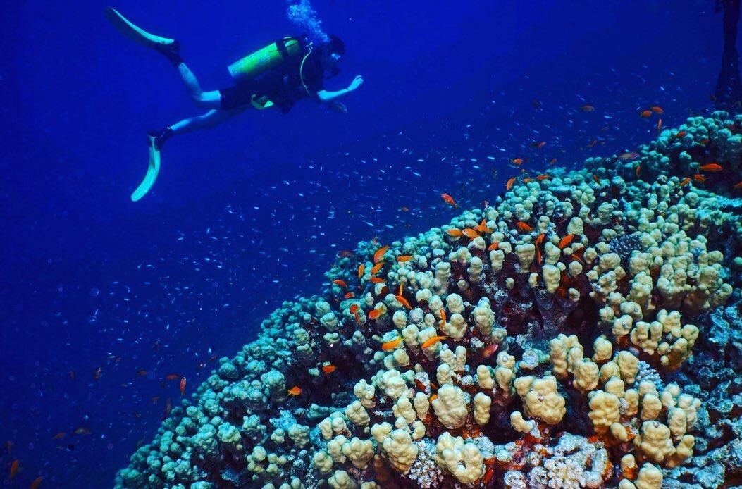 Dive+ Dive Center Selection