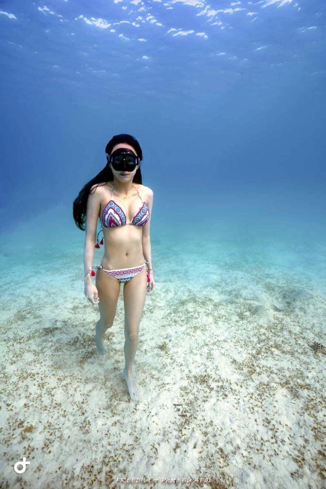Dive+領路人的帖子