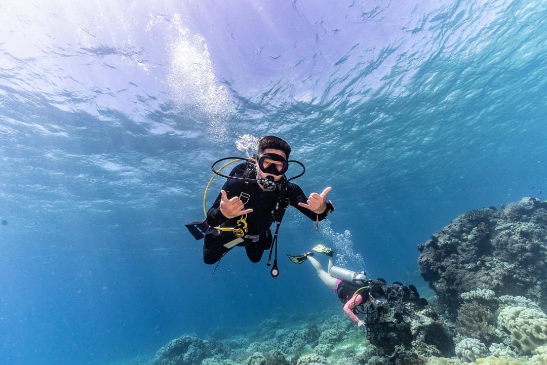 Dive+ Guide Selection