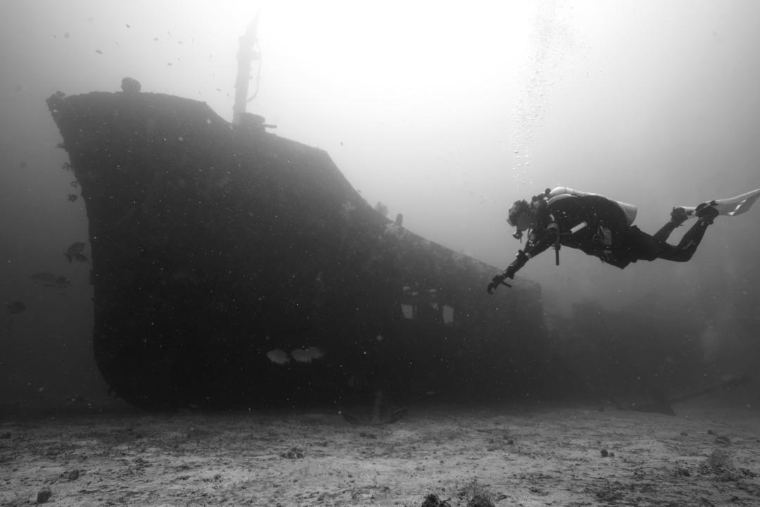 Dive+ Guide Selection