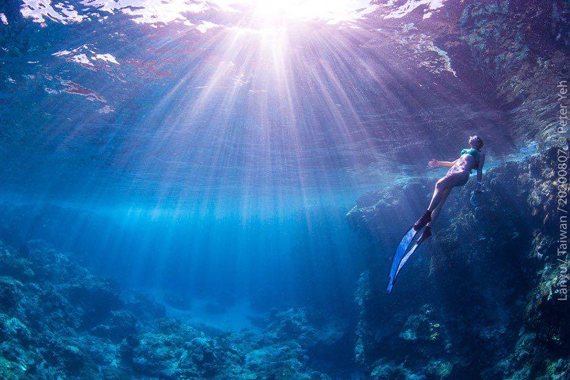 Dive+領路人的帖子