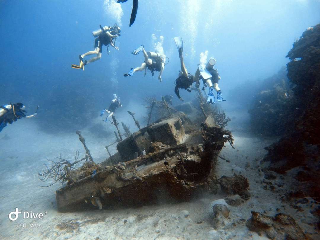 Dive+领路人的帖子