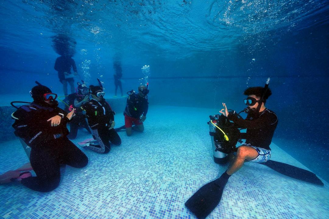Dive+ Guide Selection