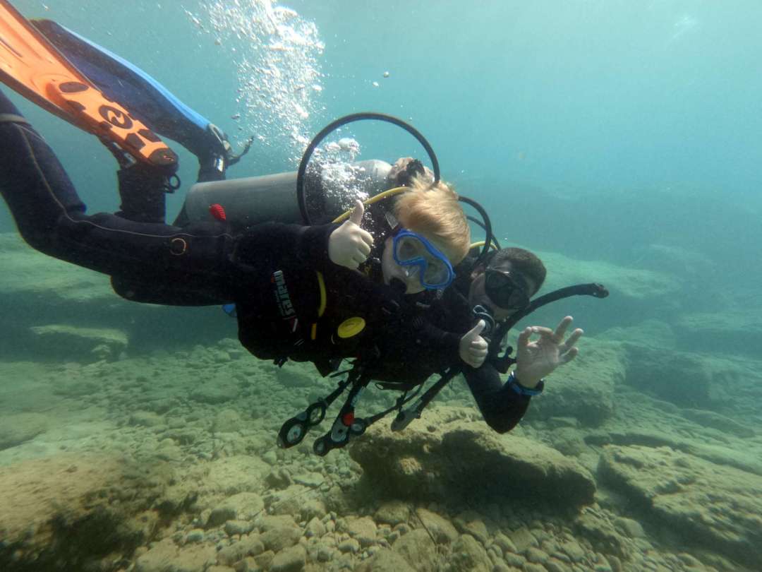 Dive+领路人的帖子
