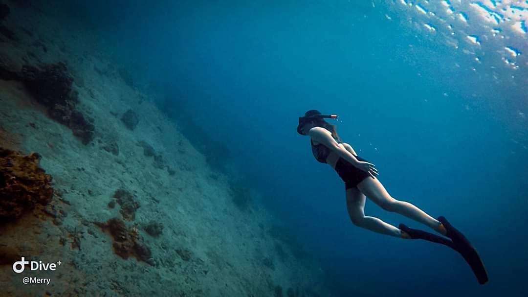 Dive+领路人的帖子