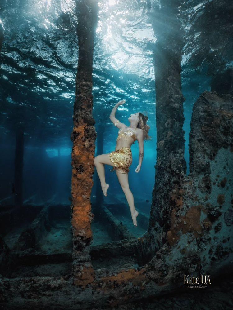 Dive+领路人的帖子