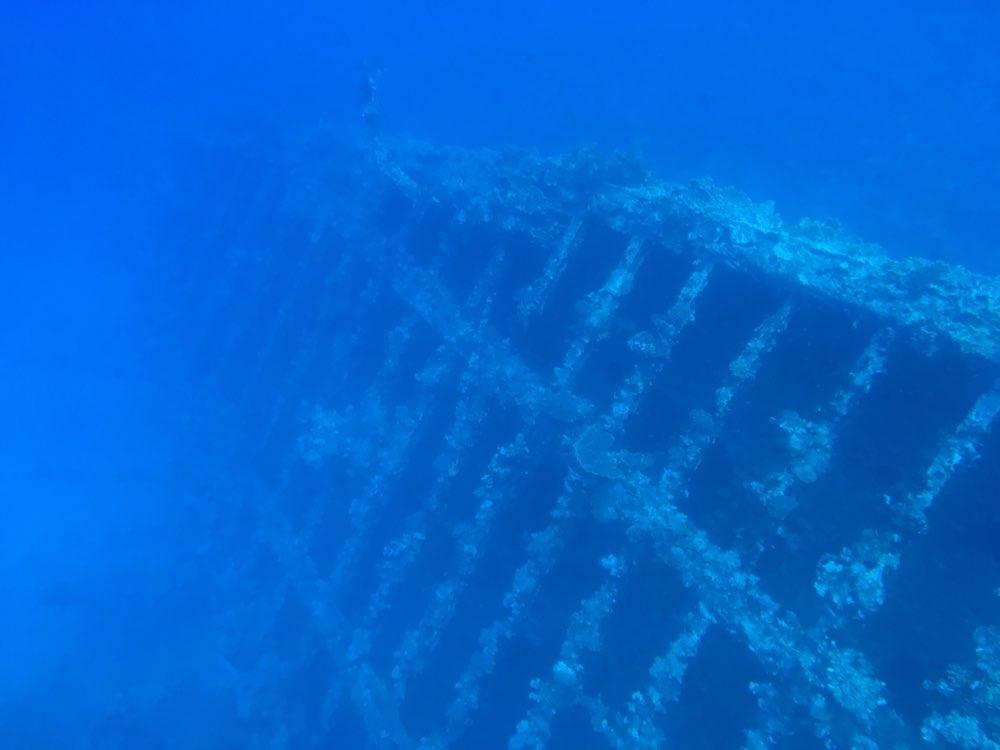 Dive+ Log Selection