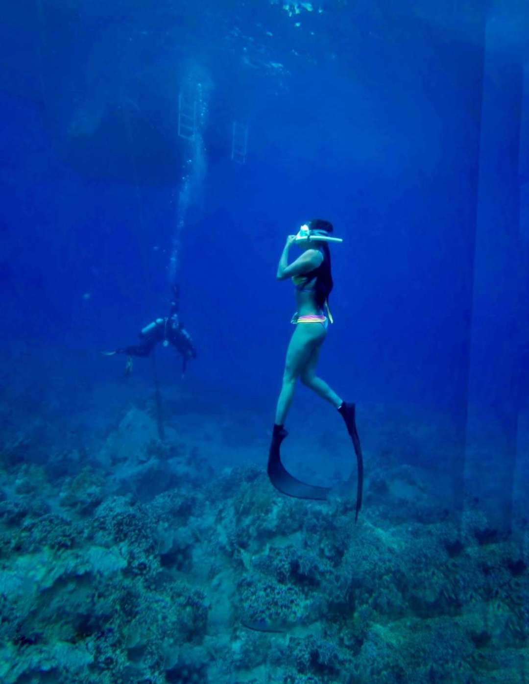 Dive+领路人的帖子