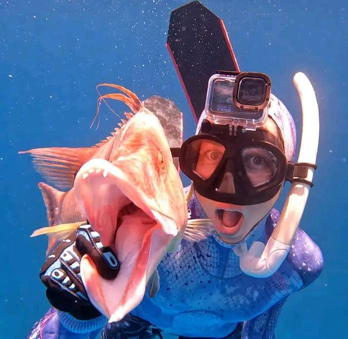 Dive+ Post Selection