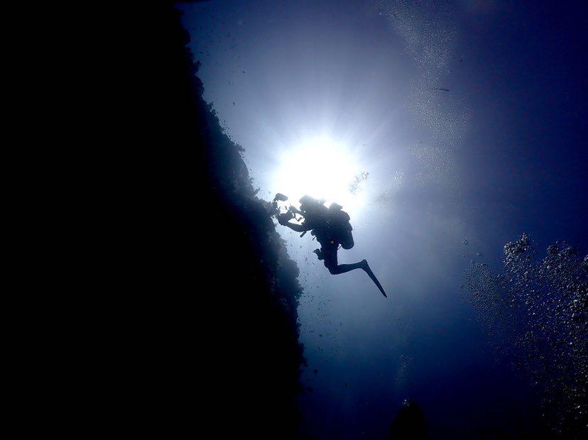 Dive+领路人的帖子