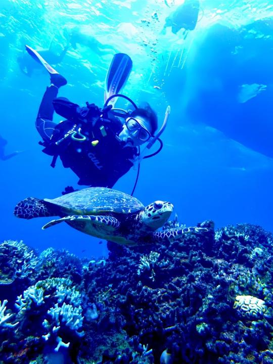 Dive+社區(qū)熱門作者