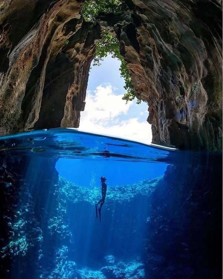 Dive+領路人的帖子