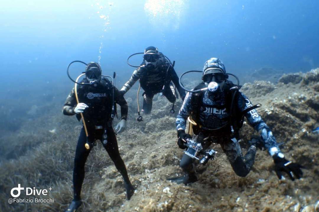 Dive+领路人的帖子