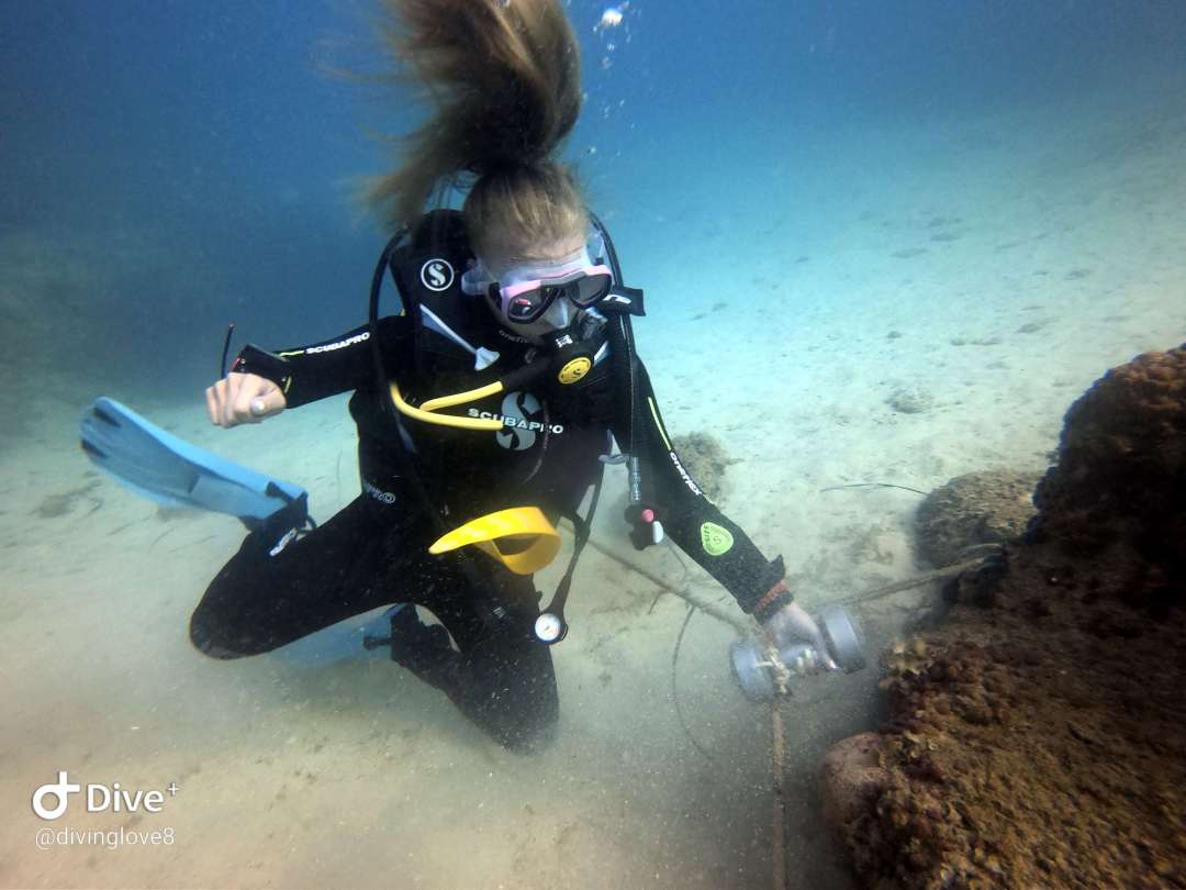 Dive+领路人的帖子