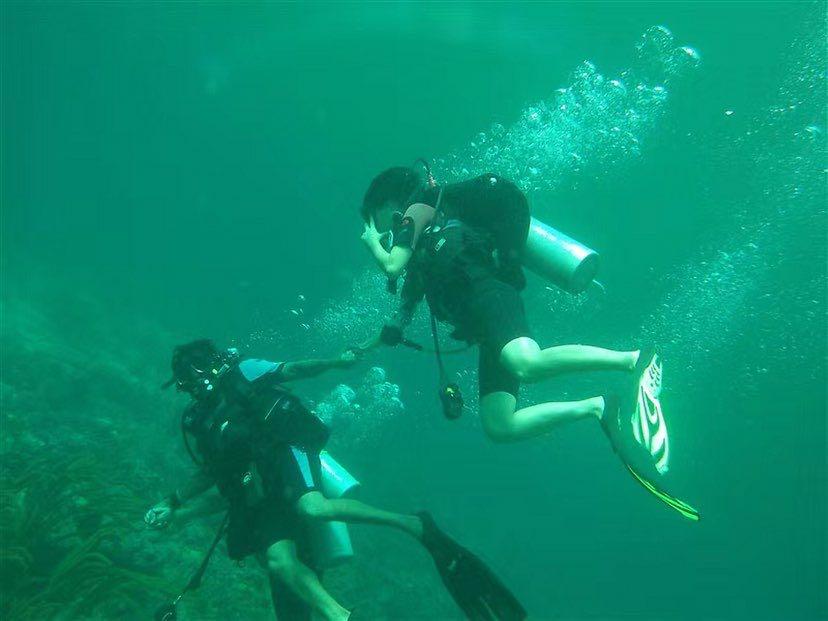 Dive+领路人的帖子