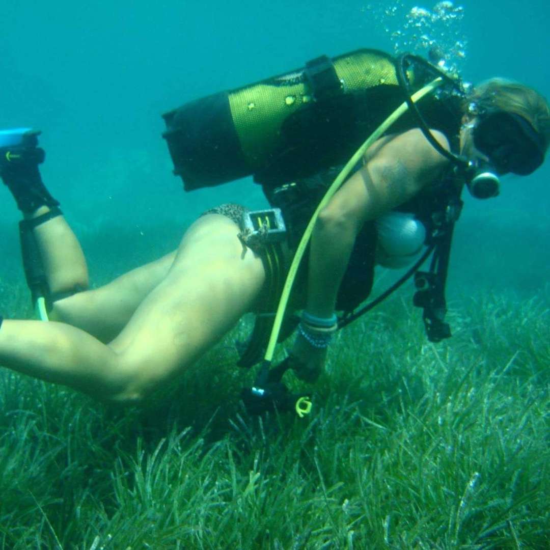 Dive+领路人的帖子