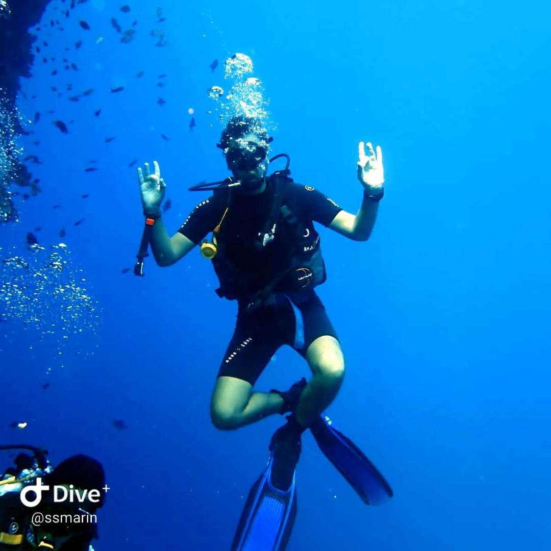 Dive+领路人的帖子