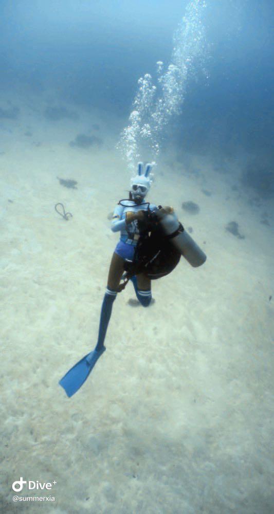 Dive+領路人的帖子