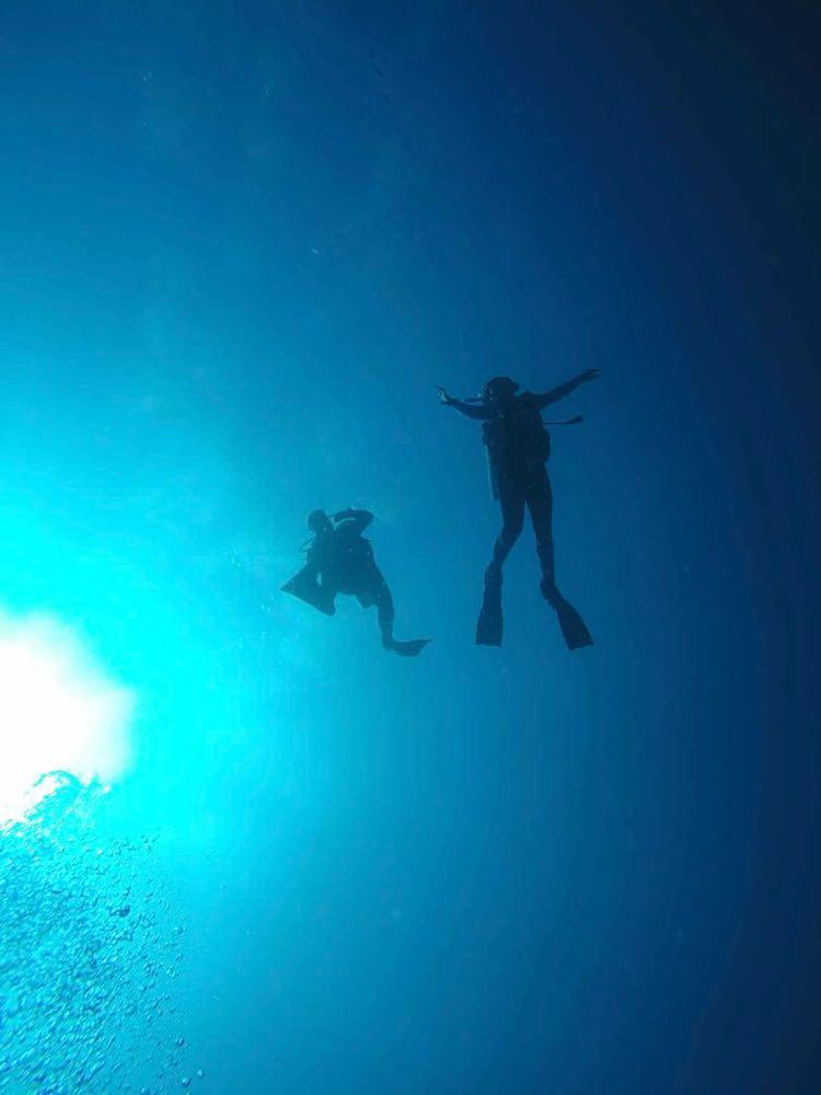 Dive+ Post Selection