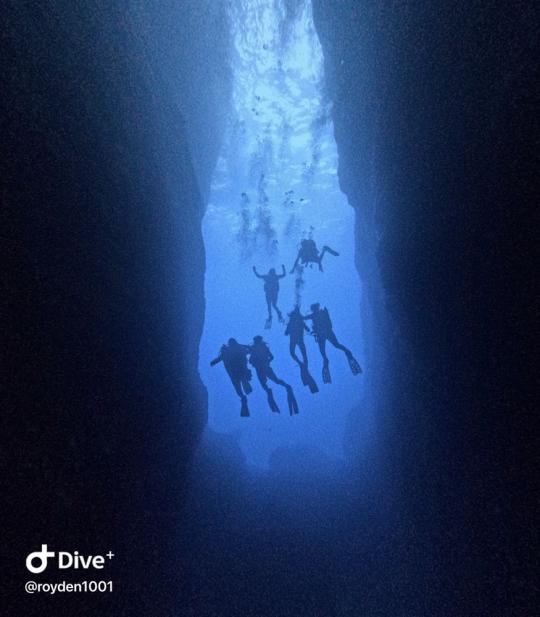 Dive+社區(qū)熱門(mén)帖子