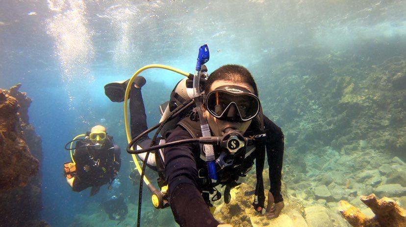 Dive+领路人的帖子