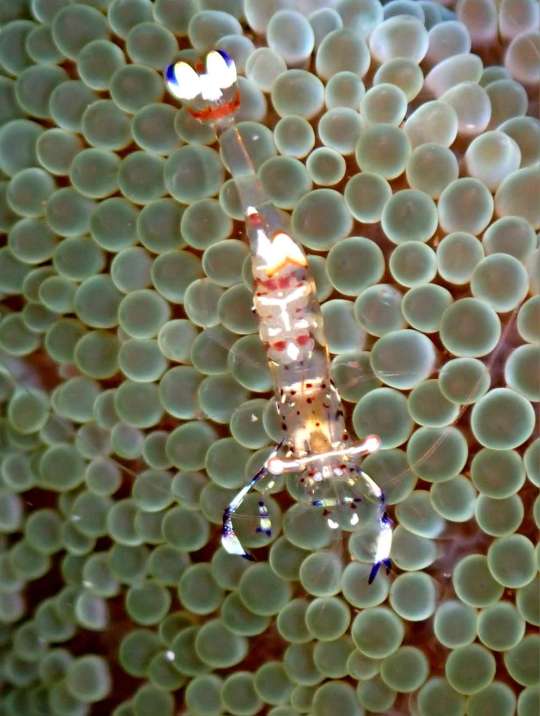 Dive+社區(qū)熱門(mén)帖子