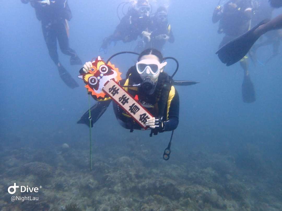 Dive+领路人的帖子