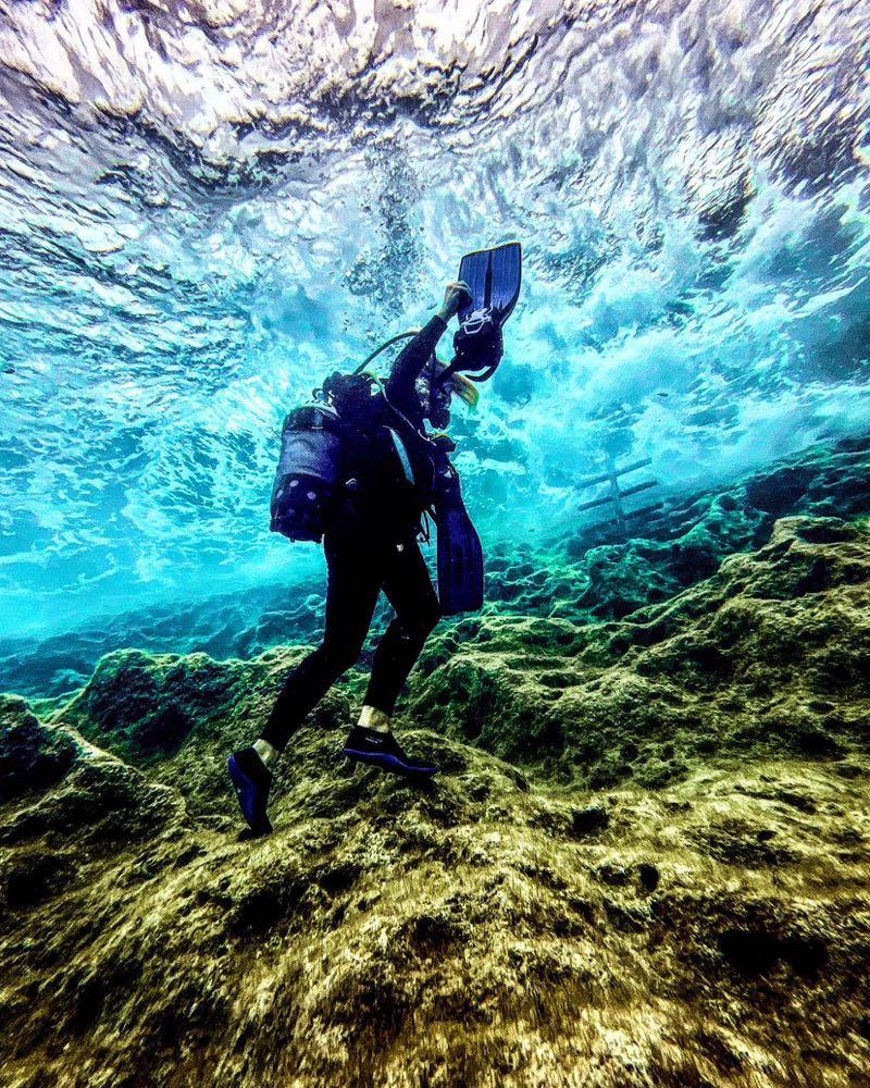 Dive+领路人的帖子