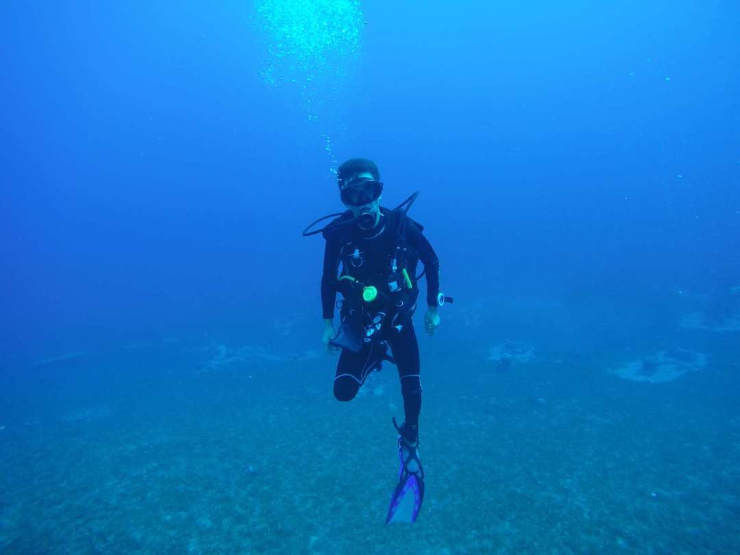 Dive+领路人的帖子