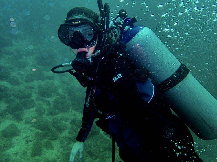 Dive+领路人的帖子