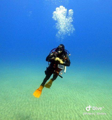 Dive+领路人的帖子