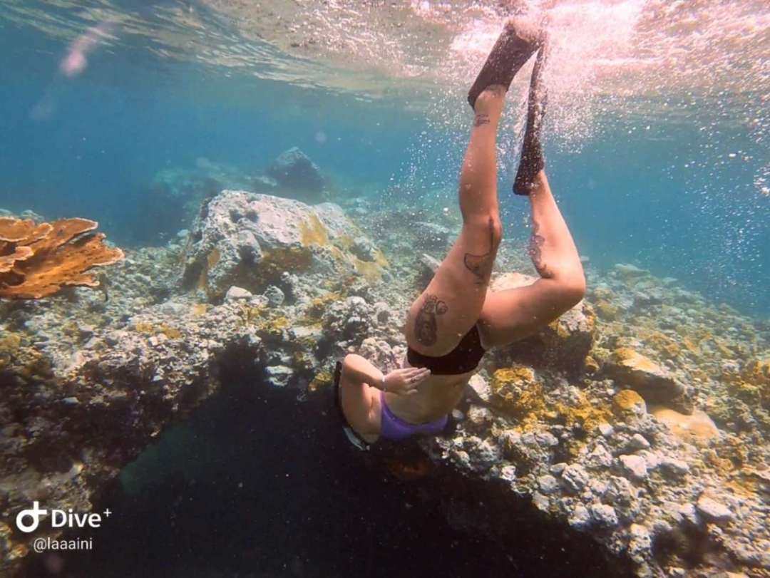 Dive+领路人的帖子