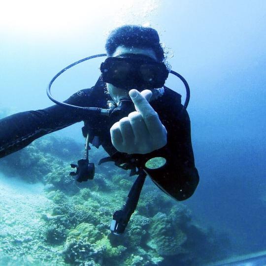 Dive+社區(qū)熱門作者