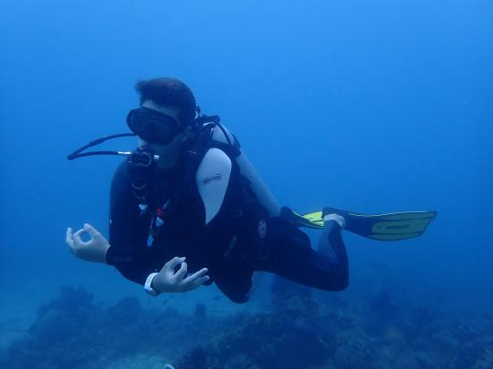 Dive+社區(qū)熱門作者