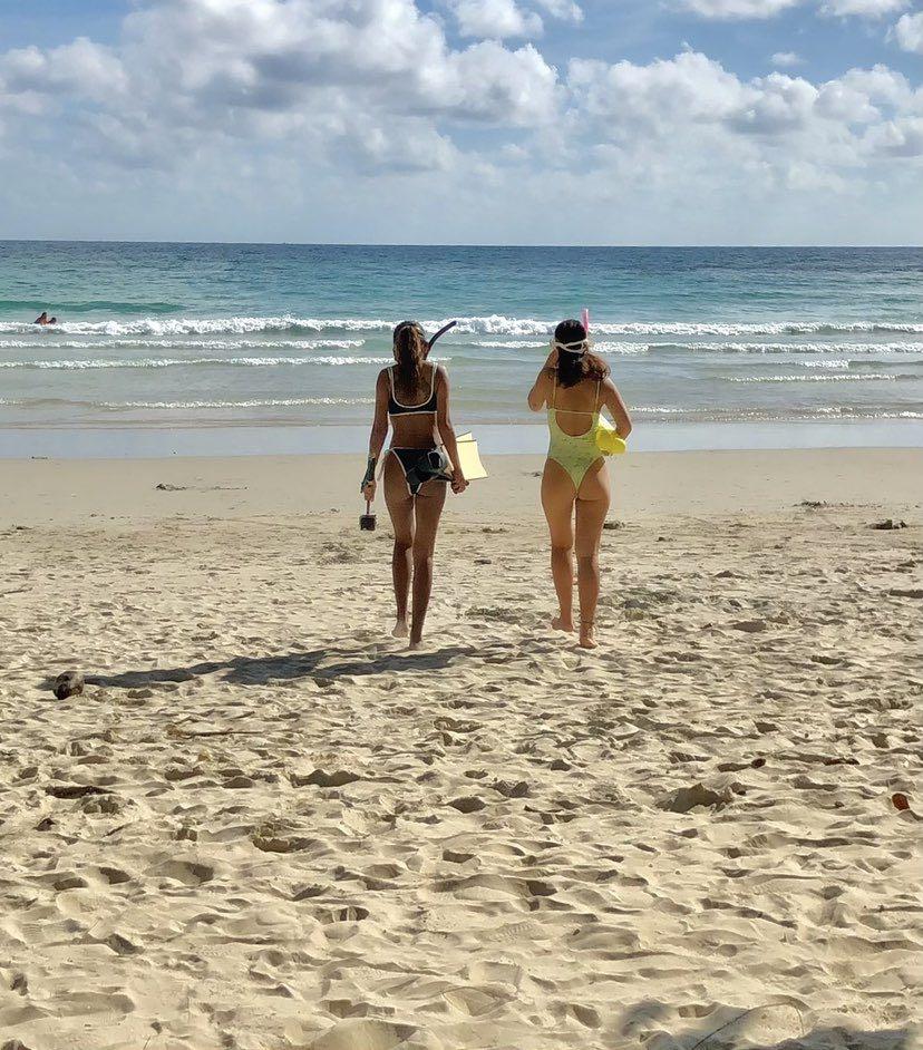 Dive+領路人的帖子