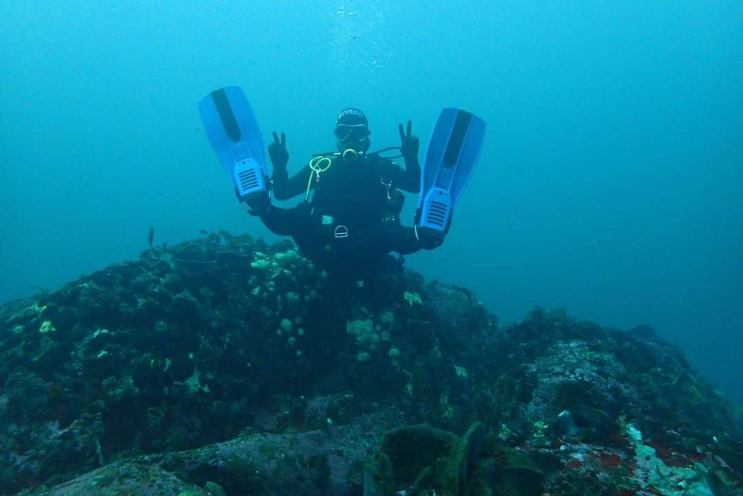 Dive+领路人的帖子