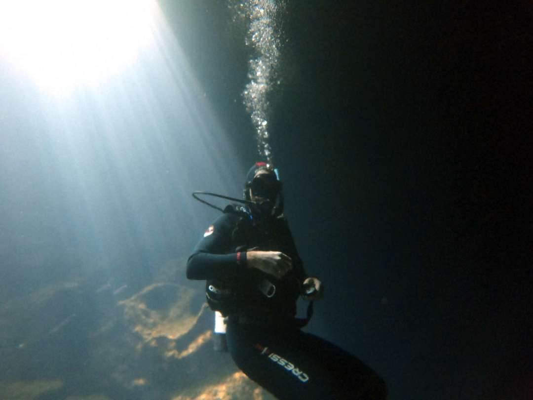 Dive+领路人的帖子
