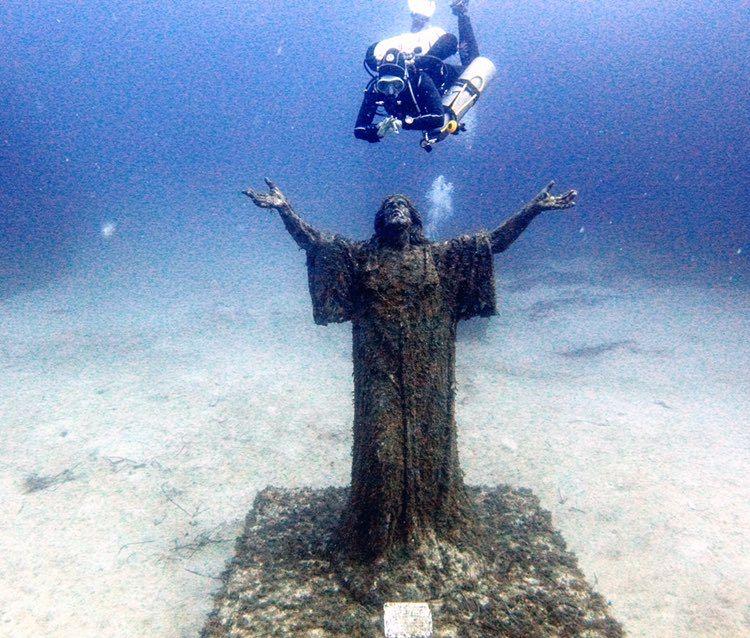 Dive+领路人的帖子