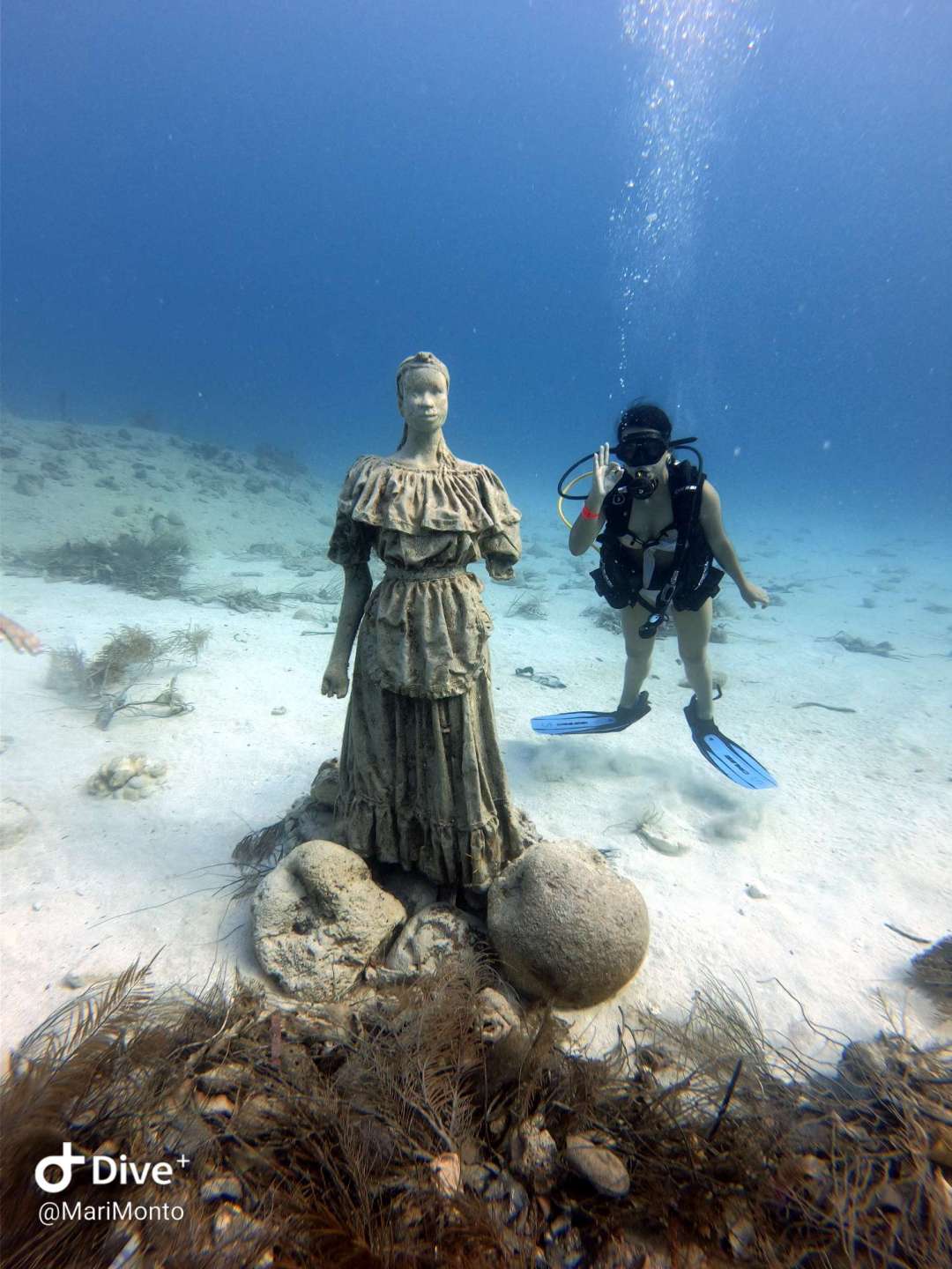 Dive+领路人的帖子