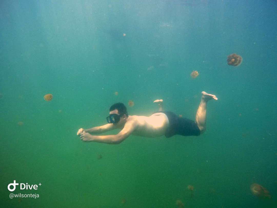 Dive+领路人的帖子