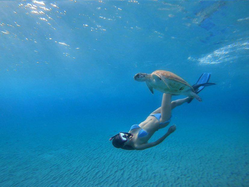 Dive+领路人的帖子