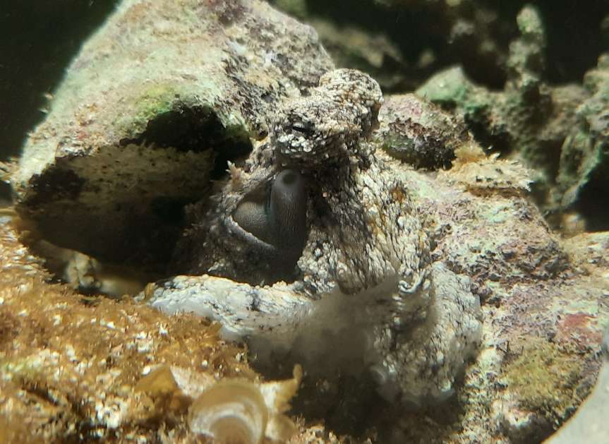 Dive+领路人的帖子