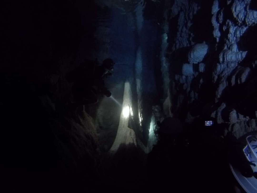 Dive+ Log Selection