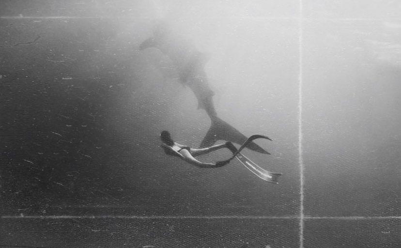 Dive+领路人的帖子
