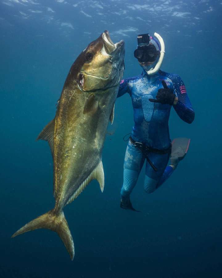 Dive+ Post Selection