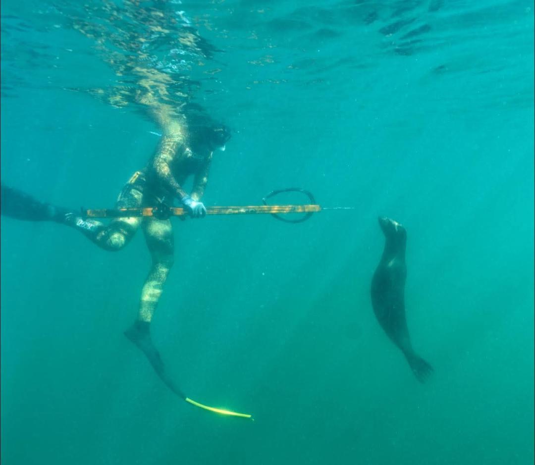 Dive+ Post Selection