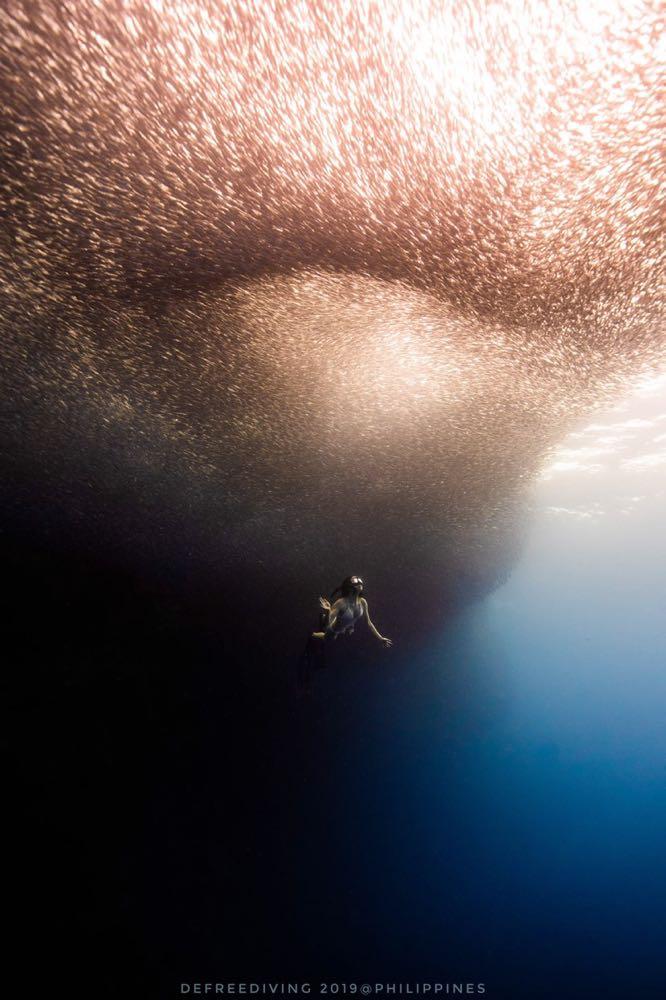 Dive+領路人的帖子