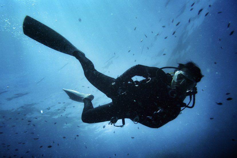 Dive+领路人的帖子