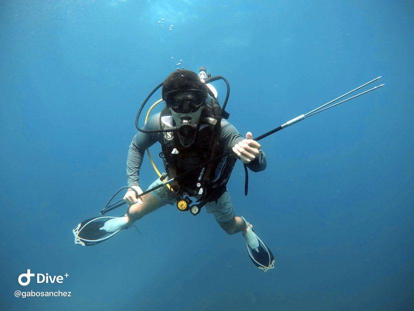 Dive+领路人的帖子