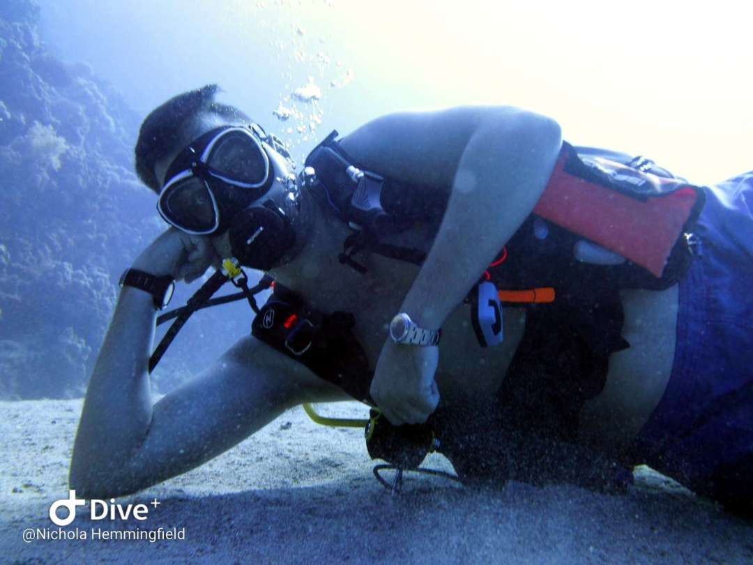Dive+领路人的帖子